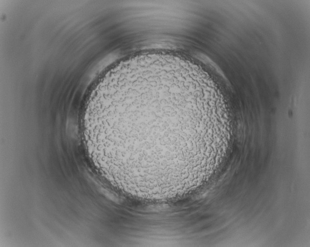 X0000062800882200601191946