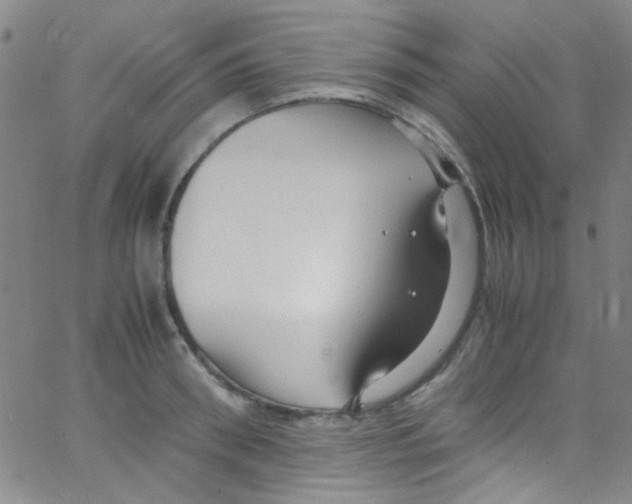 X0000062800898200601191946