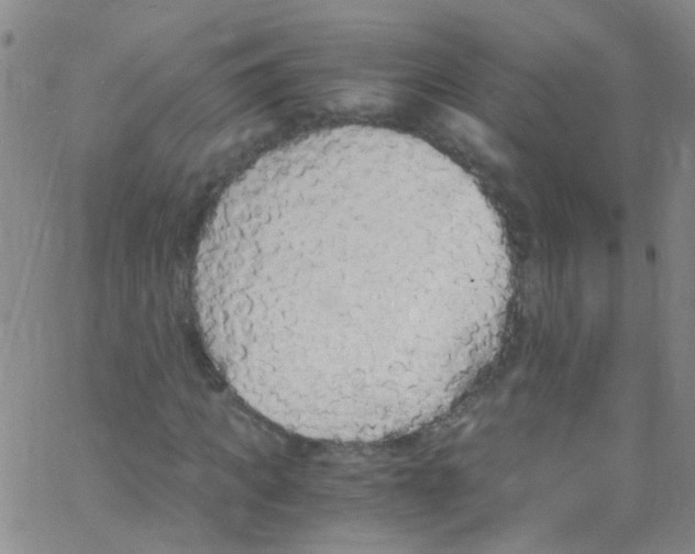 X0000062800917200601191945