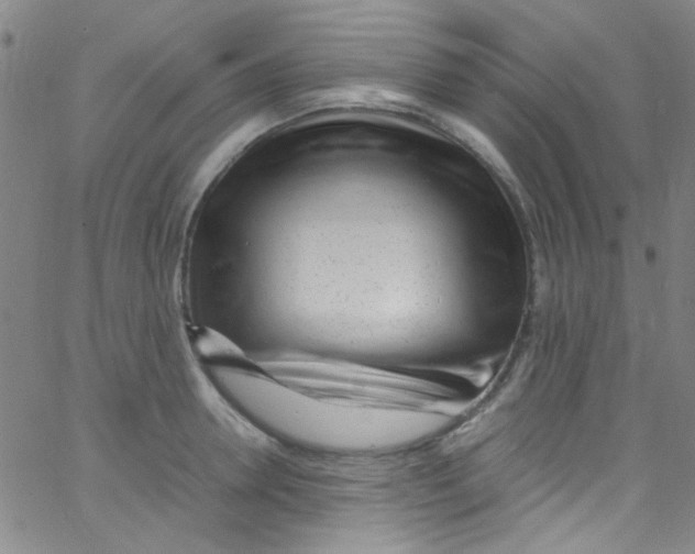 X0000062800946200601191946