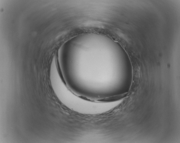 X0000062800965200601191945