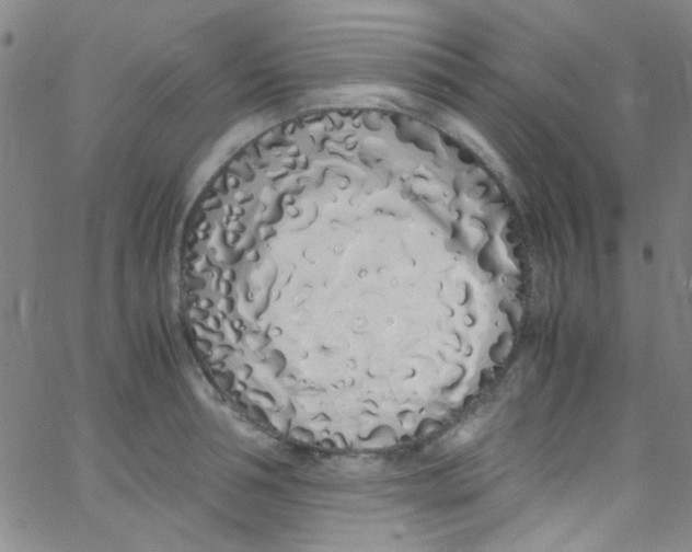 X0000062800994200601191944