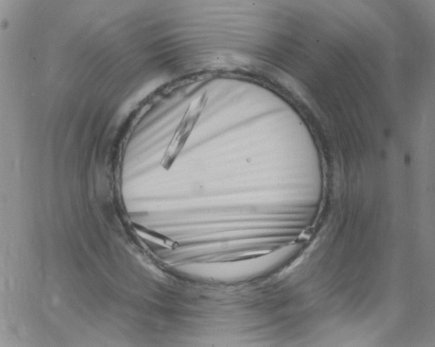 X0000062801018200601191944