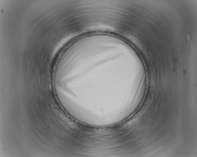 X0000062801022200601191944