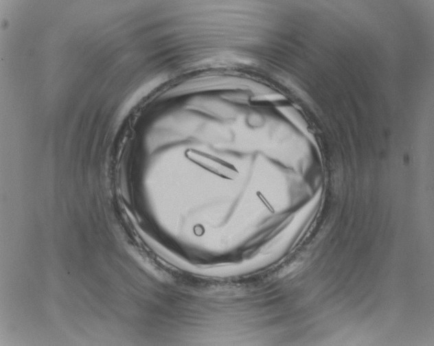 X0000062801026200601191944