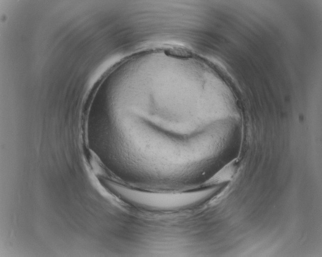 X0000062801038200601191944