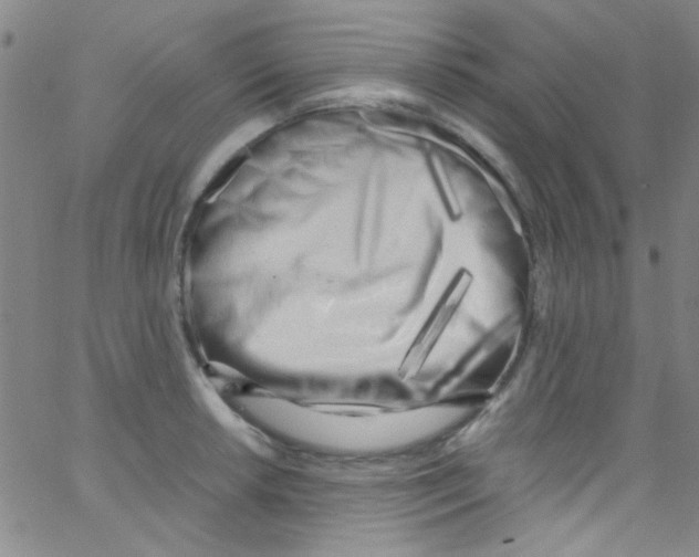 X0000062801042200601191944