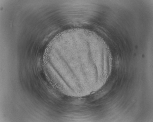 X0000062801060200601191943