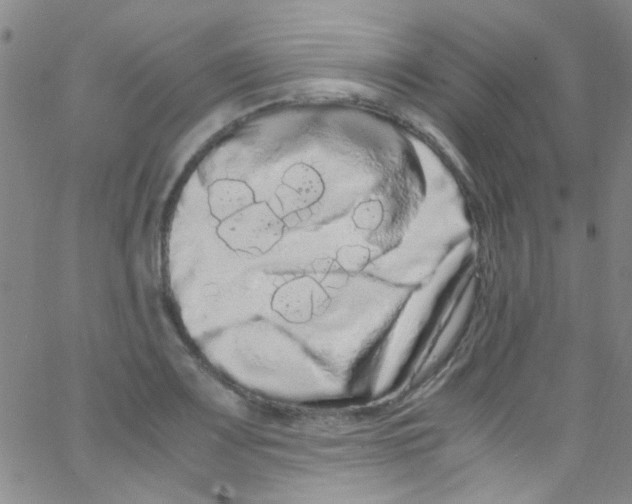 X0000062801083200601191943