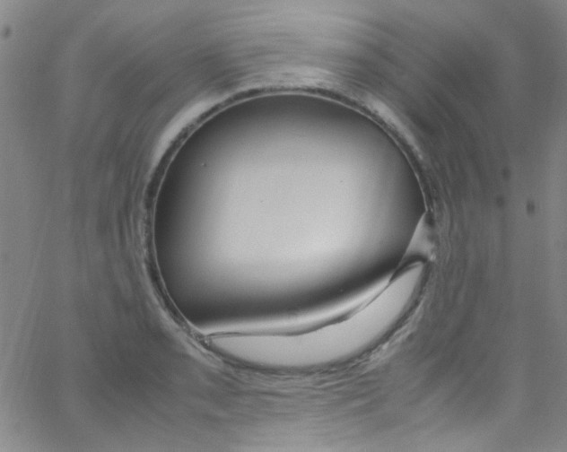 X0000062801085200601191943