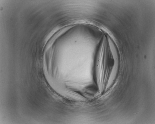 X0000062801097200601191943