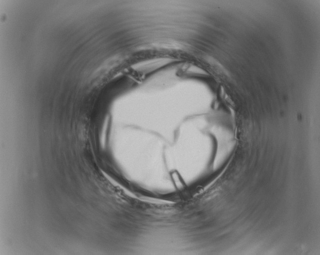 X0000062801110200601191942