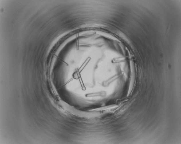 X0000062801124200601191942