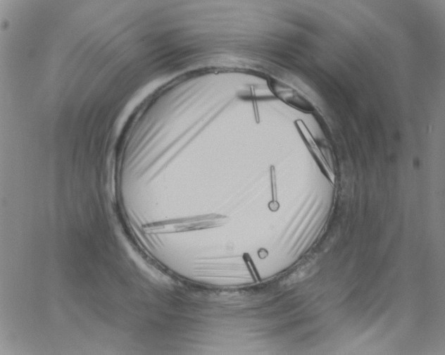X0000062801128200601191942