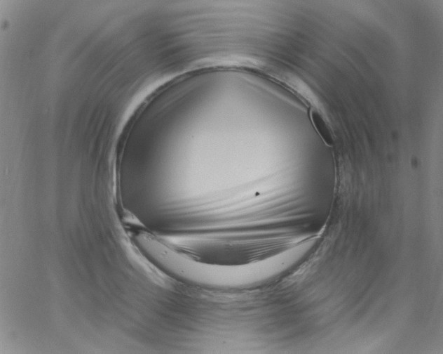 X0000062801132200601191942