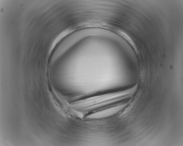 X0000062801146200601191943