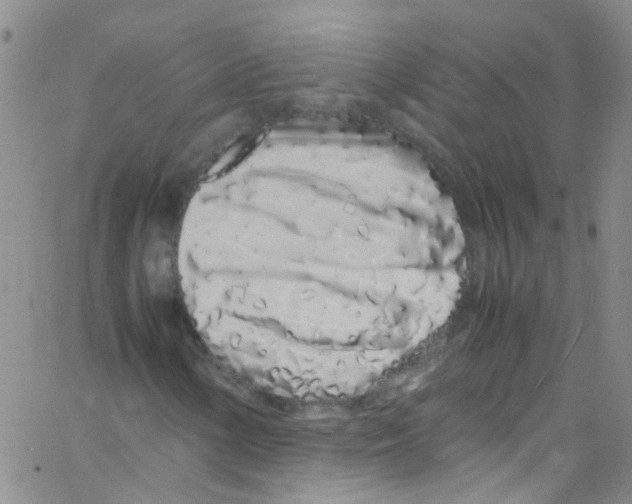 X0000062801154200601191942