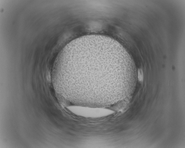 X0000062801155200601191942
