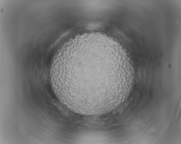 X0000062801158200601191942