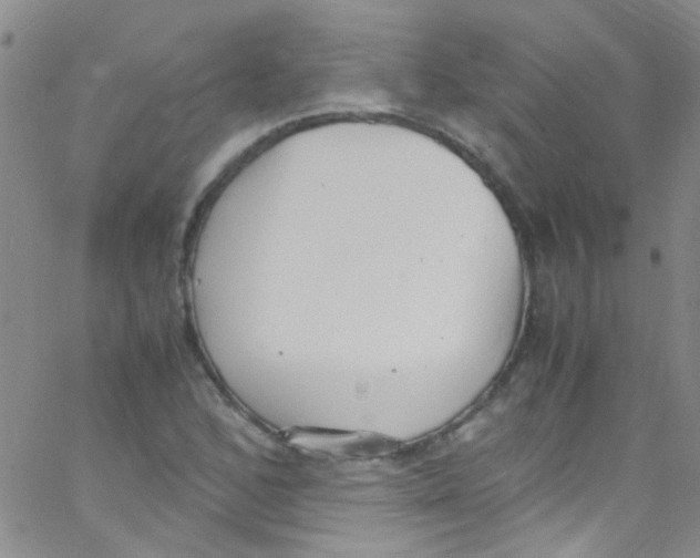 X0000062801168200601191942