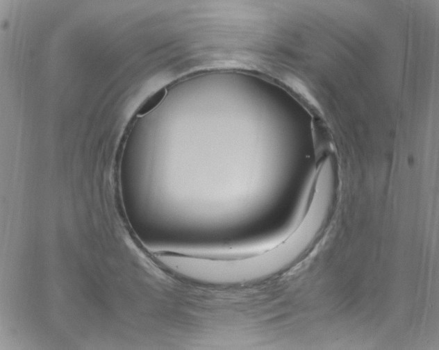 X0000062801181200601191941