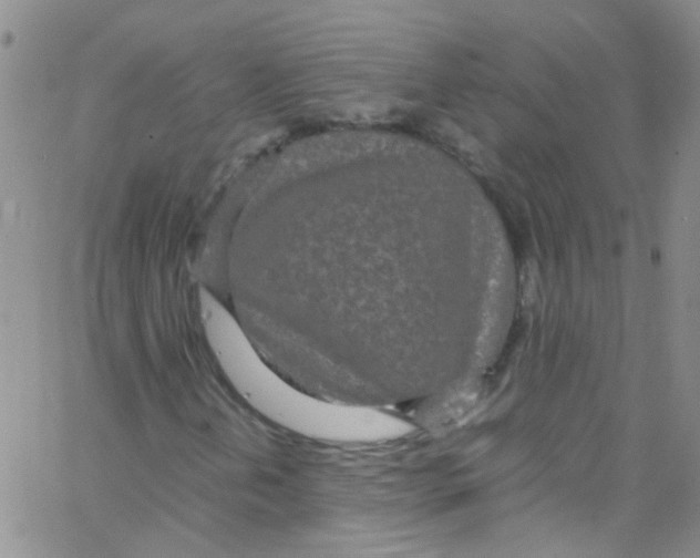 X0000062801202200601191940