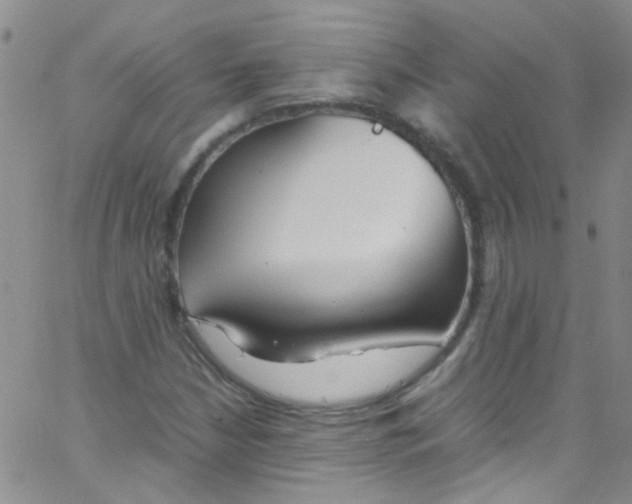 X0000062801210200601191941