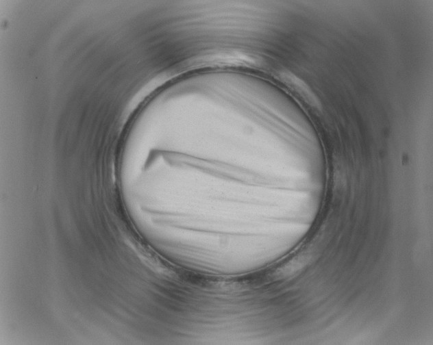 X0000062801226200601191941