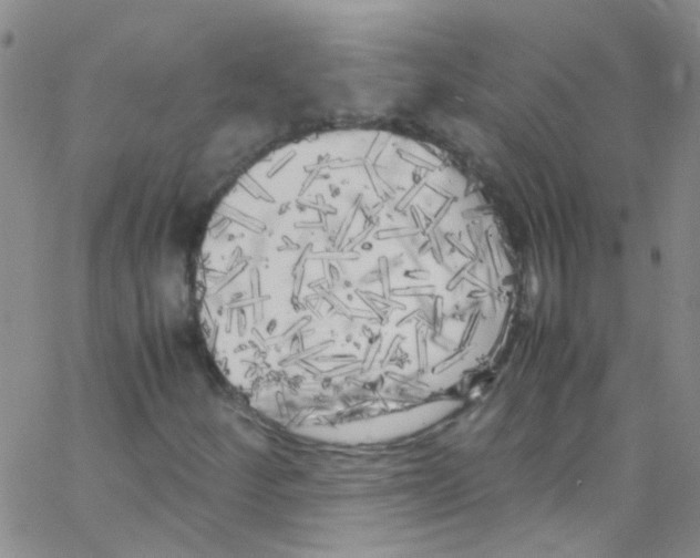 X0000062801252200601191940