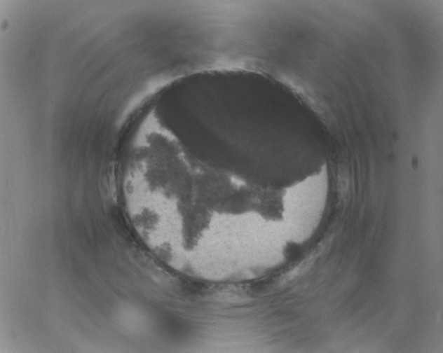 X0000062801262200601191940