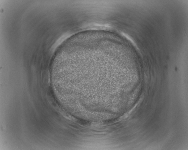 X0000062801267200601191940
