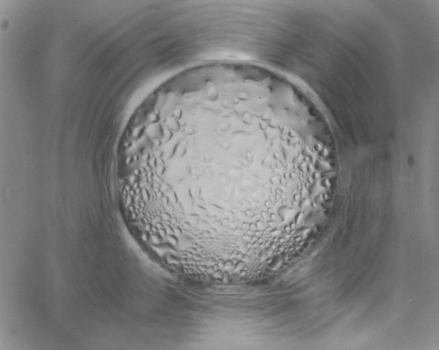 X0000062801295200601191940