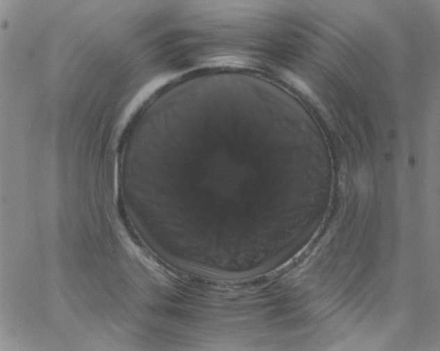X0000062801323200601191939