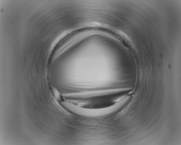 X0000062801326200601191939