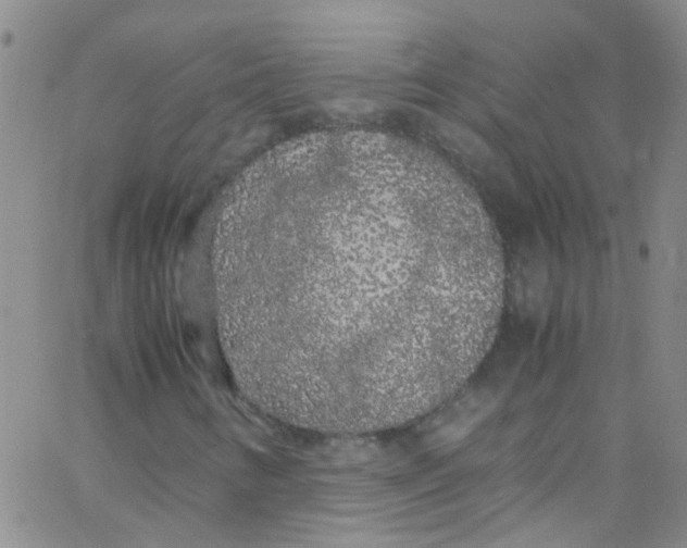 X0000062801346200601191939