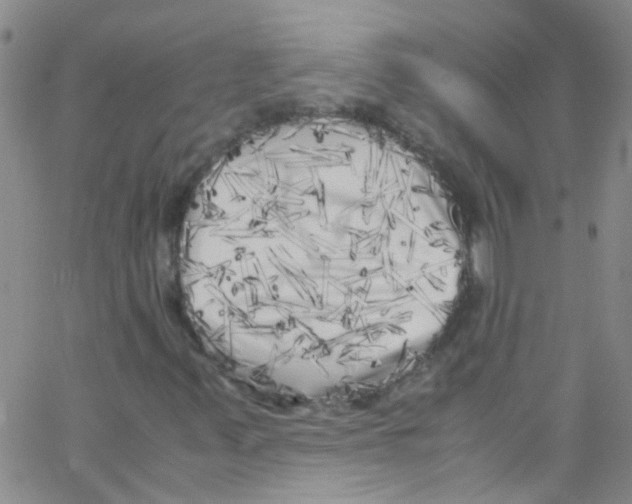 X0000062801347200601191939