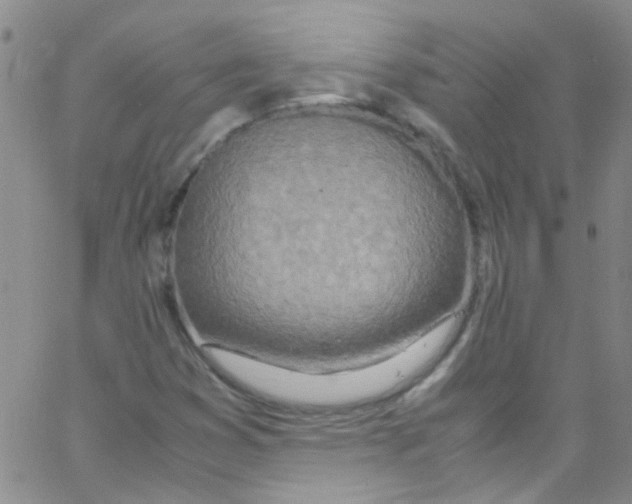 X0000062801353200601191939