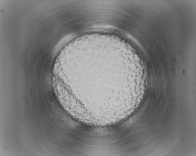 X0000062801362200601191939