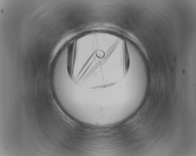 X0000062801368200601191938