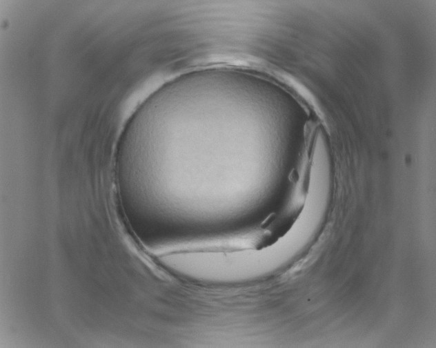 X0000062801373200601191938