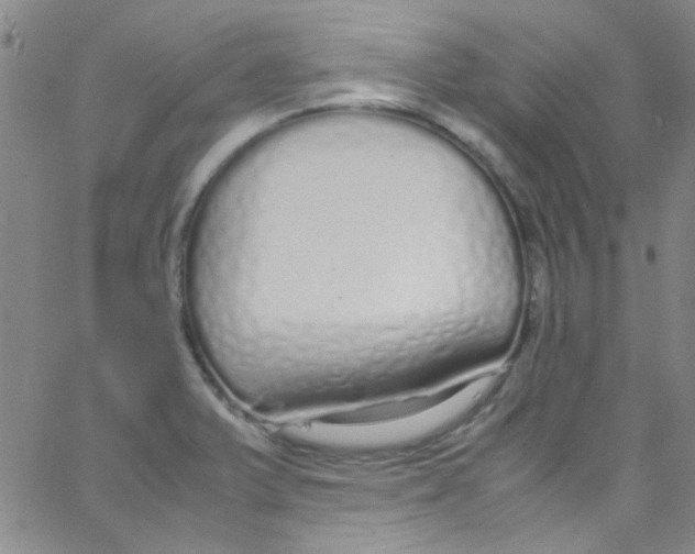 X0000062801375200601191938