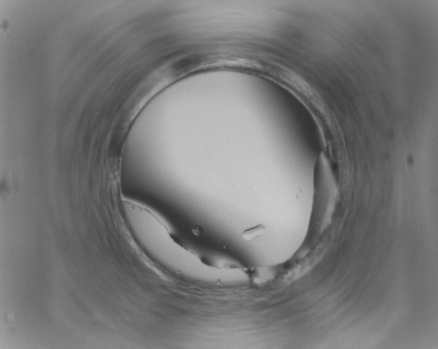 X0000062801377200601191938