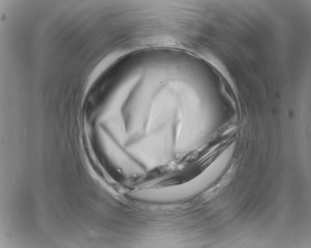 X0000062801389200601191938
