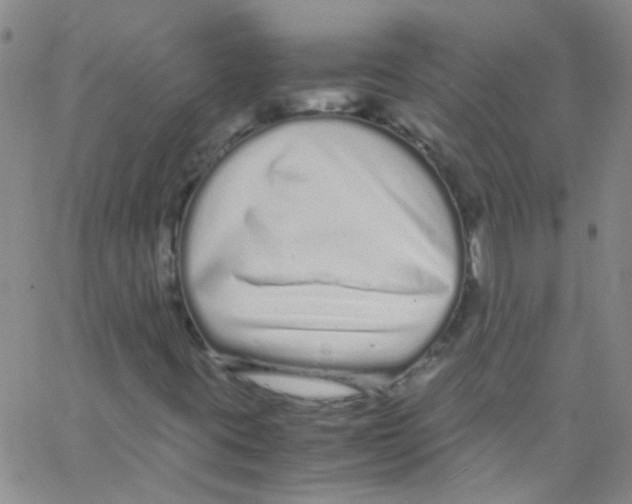 X0000062801395200601191937