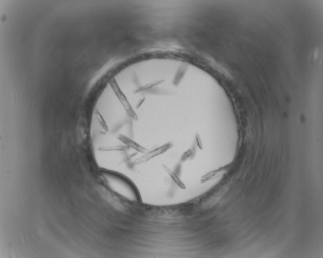 X0000062801400200601191937