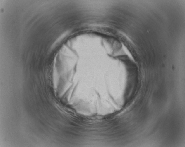 X0000062801403200601191937