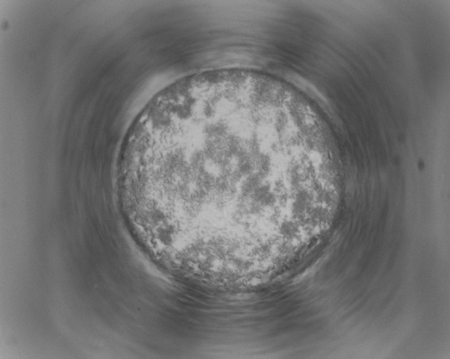 X0000062801423200601191938