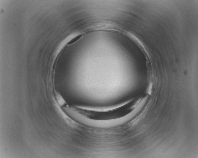 X0000062801434200601191938