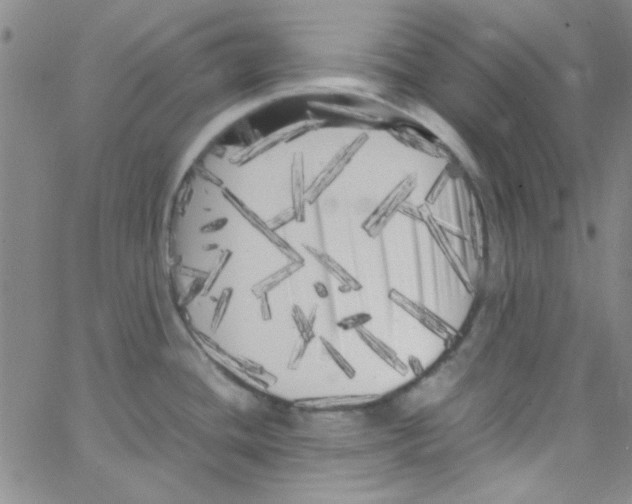 X0000062801436200601191938