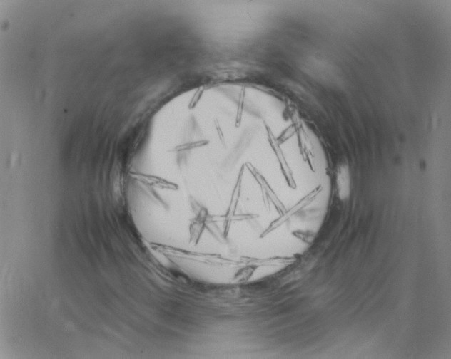 X0000062801444200601191937